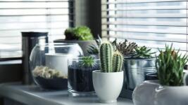 okno pots-716579 1280